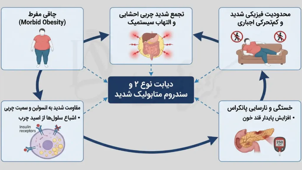 رابطه چاقی و دیابت نوع 2