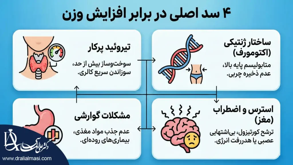 اینفوگرافی دلایل چاق نشدن افراد